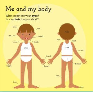 1000 useful words-艾瑞克网