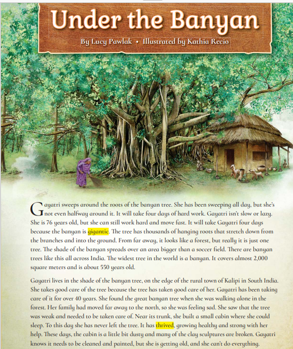 图片[5]-Cambridge Primary Reading Student’s Book 1-6-主题派