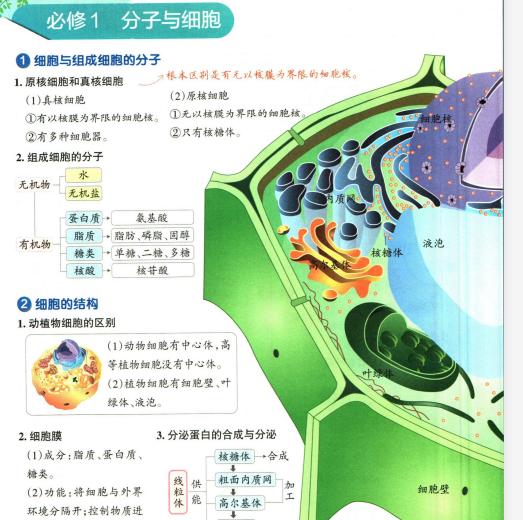 学霸笔记高中生物-艾瑞克网